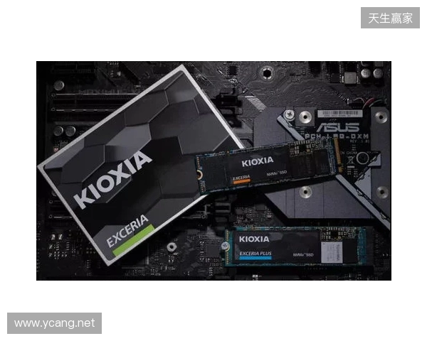 读写打穿天花板,再战五年不是梦!铠侠VE10固态上手体验